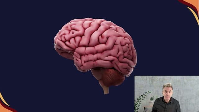 Prof. James Brown — Understanding Adult ADHD