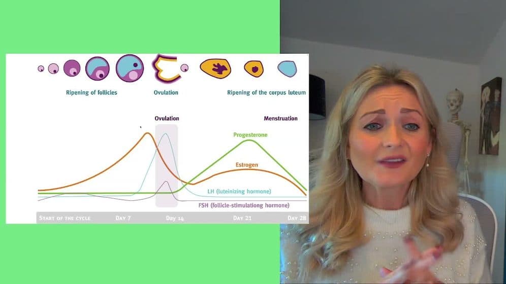 ADHD & Women: Misdiagnosed & Misunderstood — preview 1