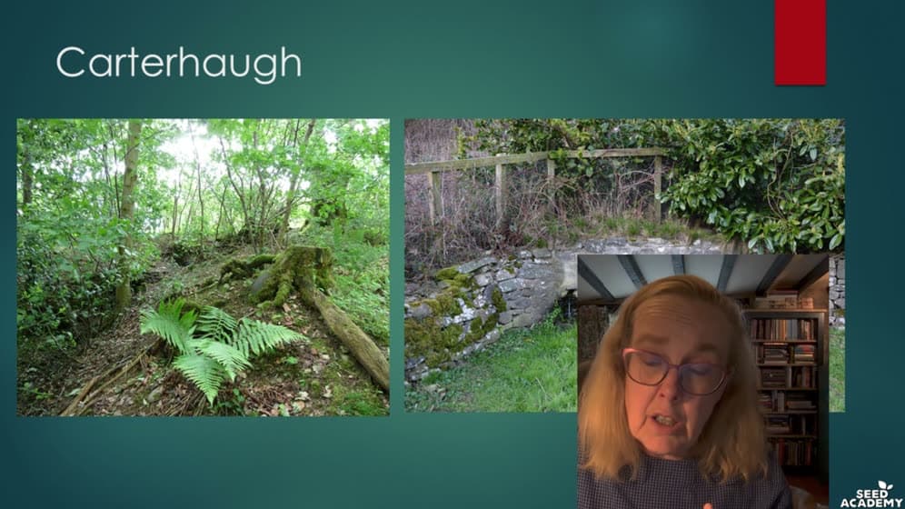 The History of Witchcraft Course — preview 2