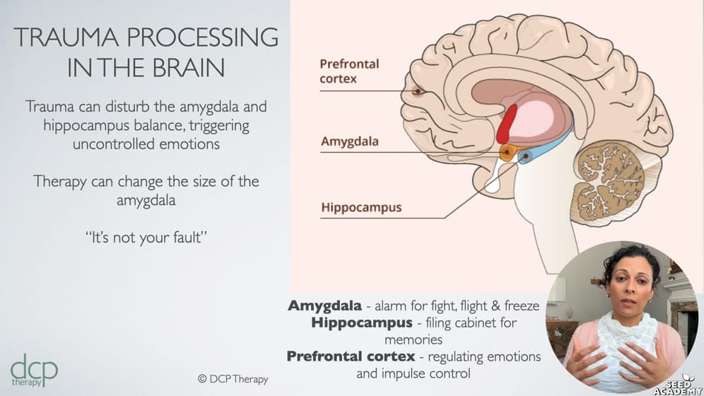 The Science of Intergenerational Trauma — preview 2