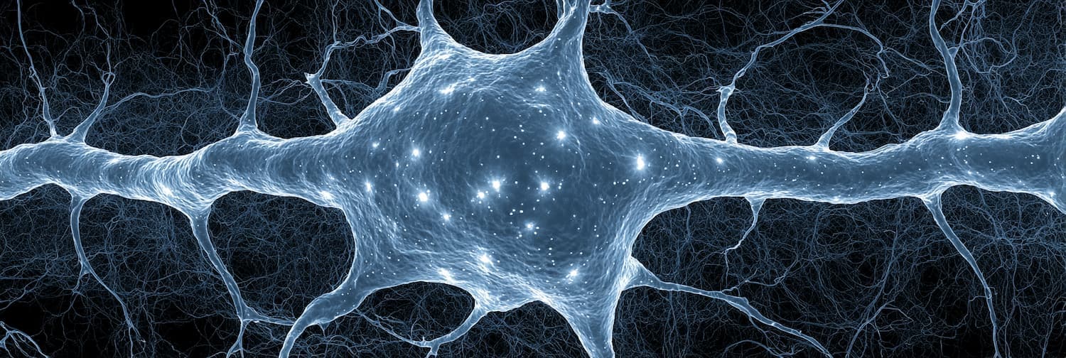 Psychology & Neuroscience Talks