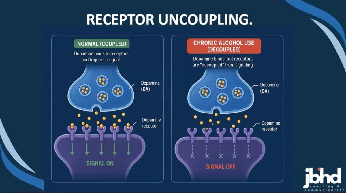 The Psychology of ADHD & Alcohol — preview 2