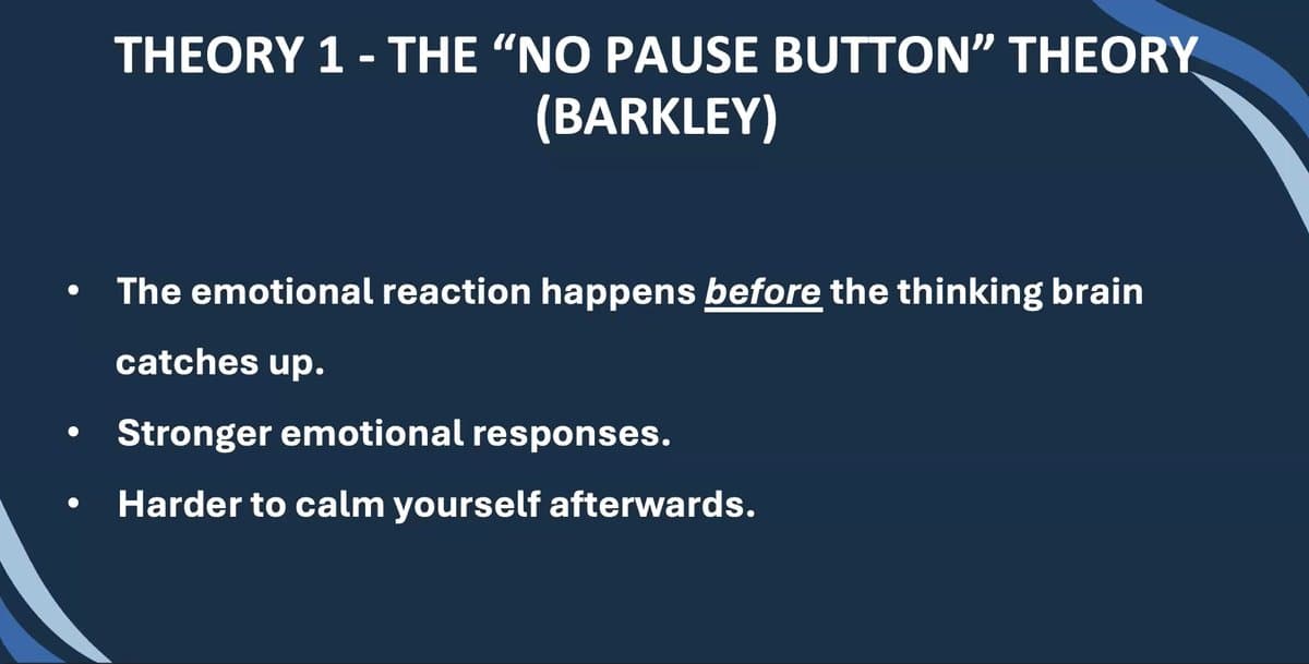 ADHD & Emotional Dysregulation Workshop: Improving Emotional Balance — preview 3
