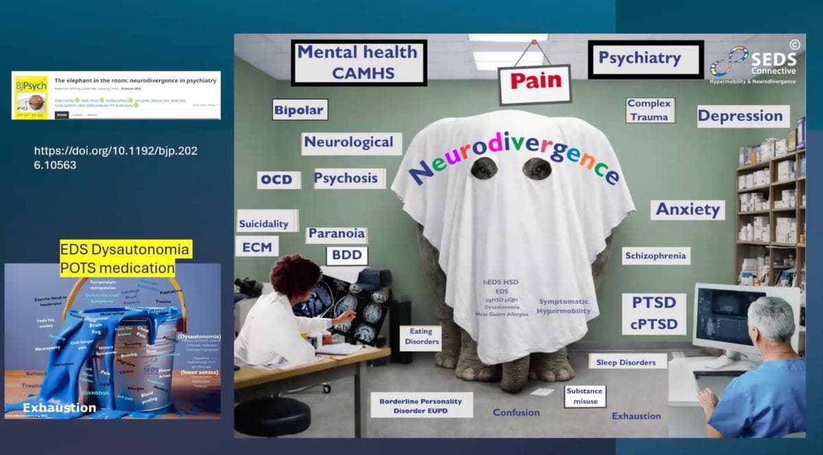 The Science of Hypermobility & ADHD — preview 4