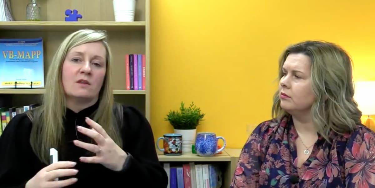 The Psychology of Children in Care — preview 1