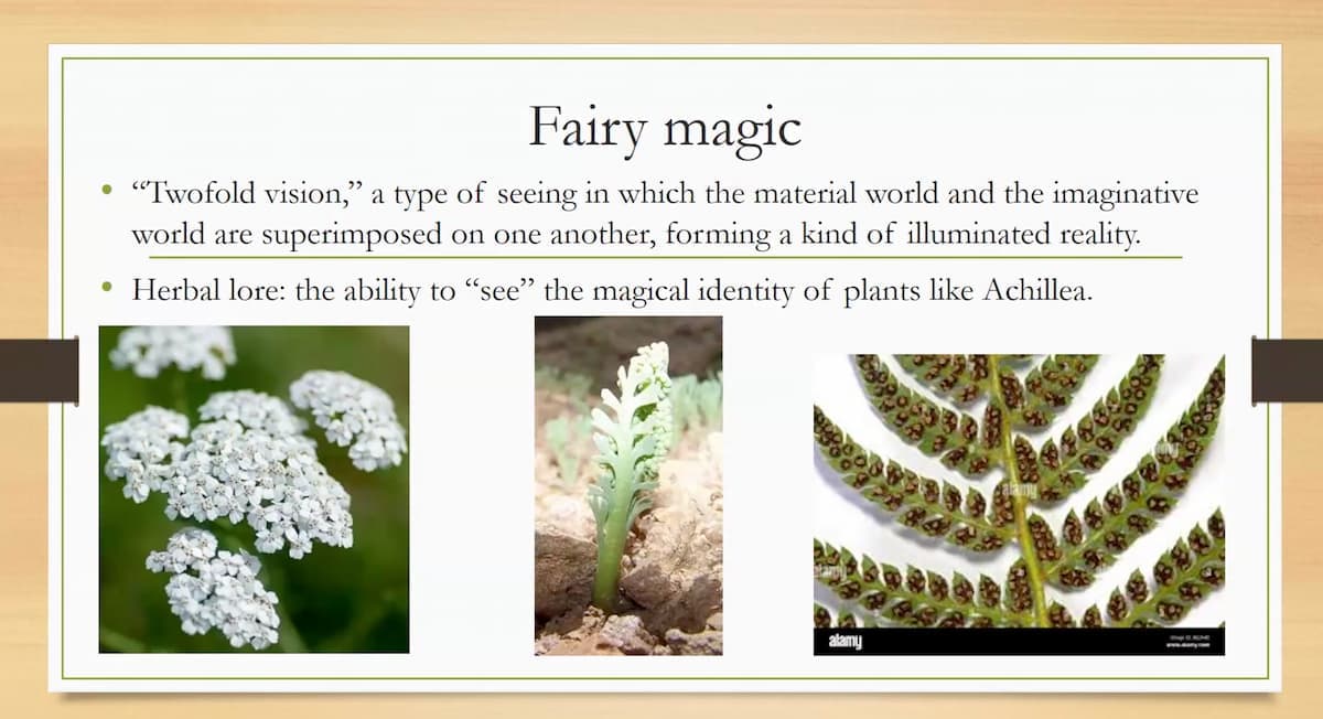 The Hidden World of Fairies & Women — preview 2