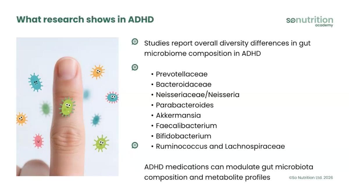The Gut-Brain Connection in ADHD & Autism — preview 3