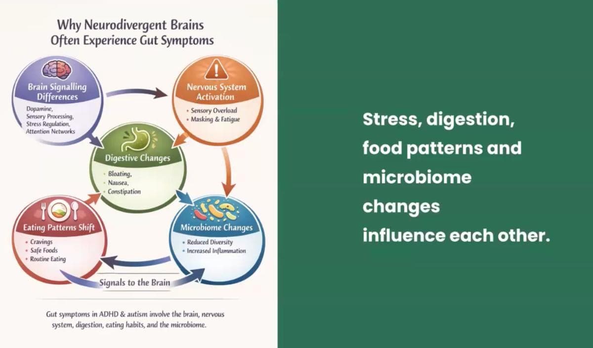 The Gut-Brain Connection in ADHD & Autism — preview 4