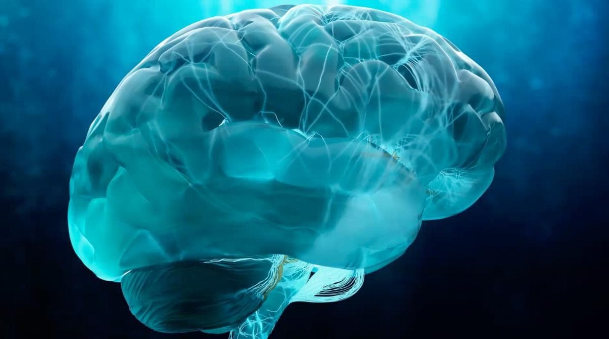 The Neuroscience of Adverse Childhood Experiences — preview 2