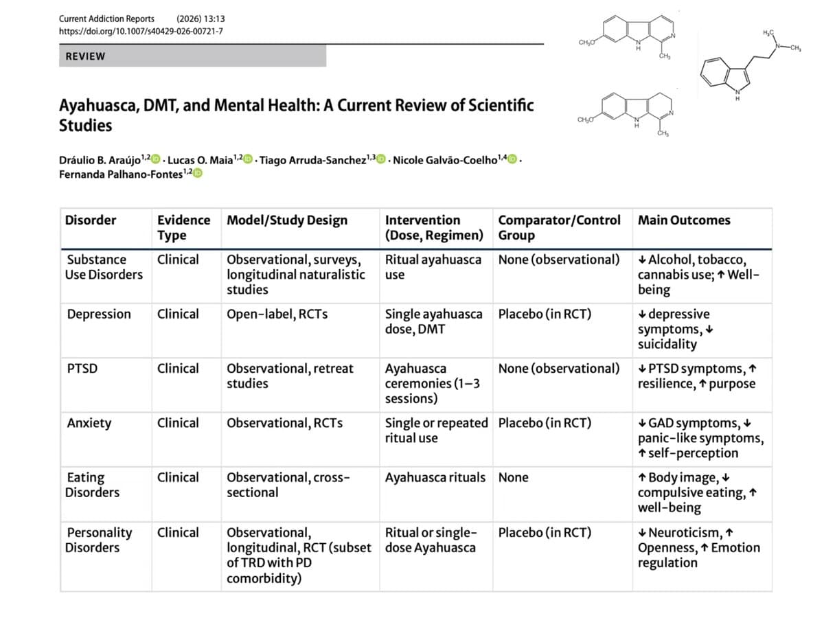 The Science of DMT & Ayahuasca — preview 2