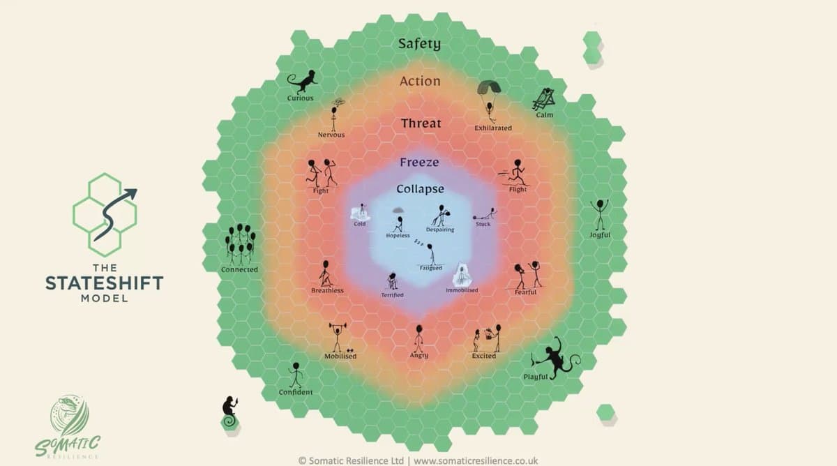 The Somatic Trauma Workshop — preview 2