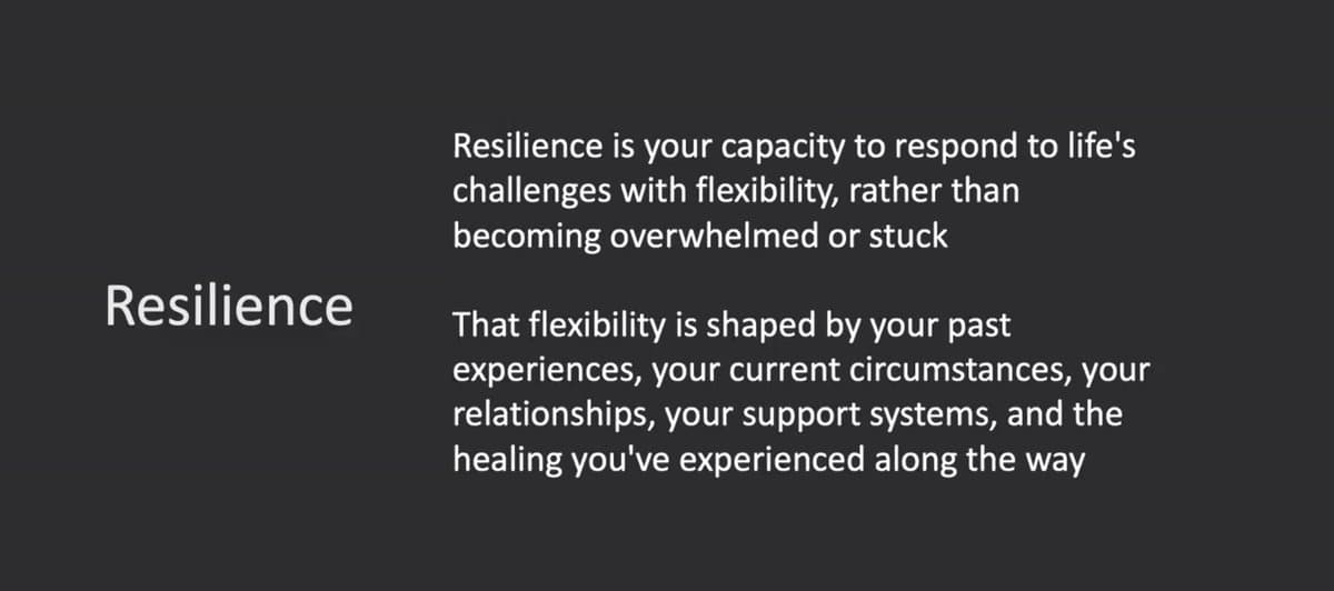 The Somatic Trauma Workshop — preview 4