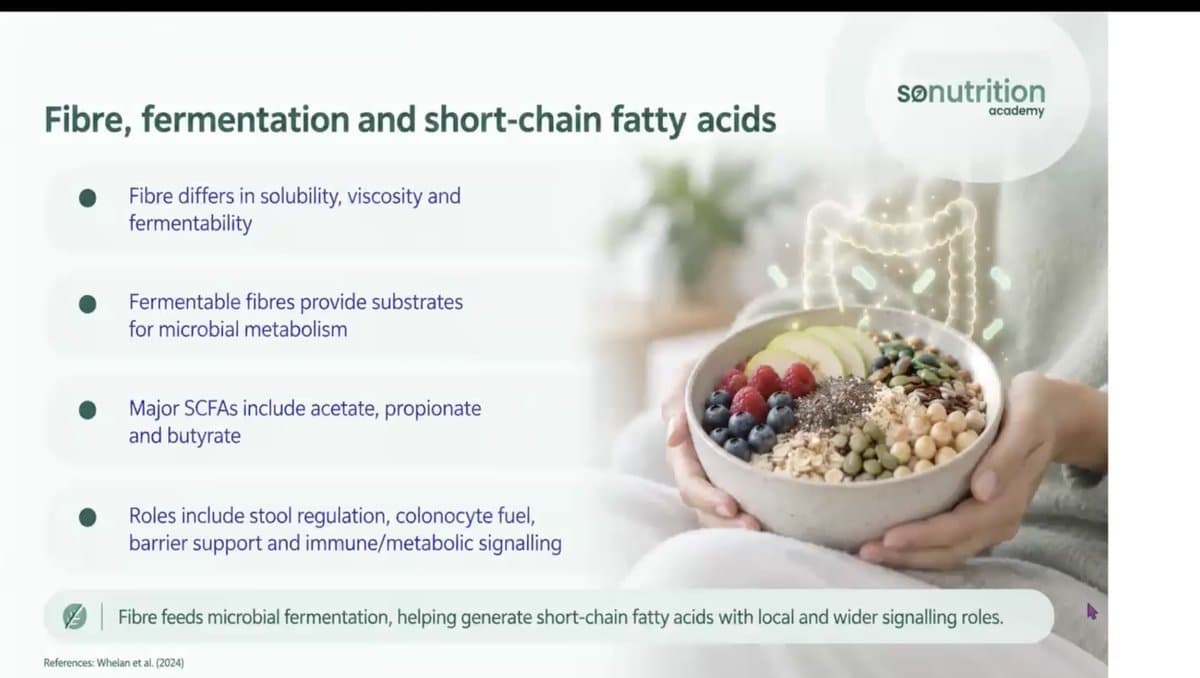 The Gut-Mind Connection - CPD Workshop — preview 2