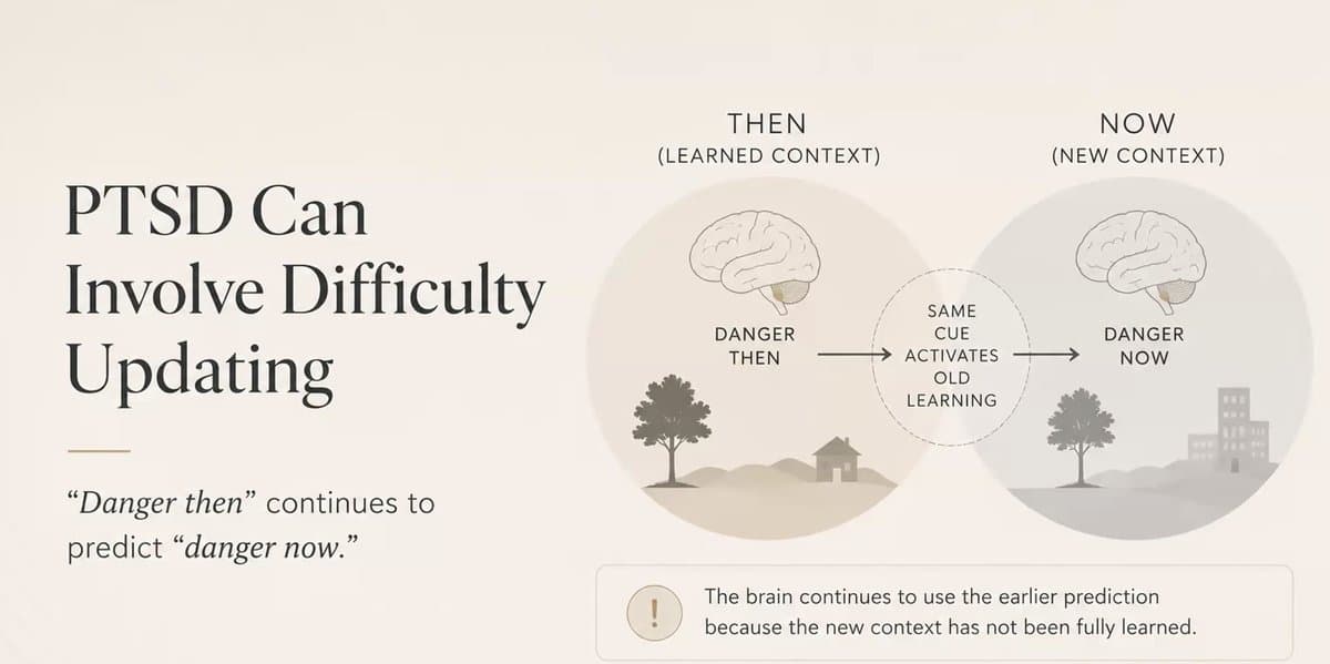 The Neuroscience of Trauma - A Professional Workshop — preview 1