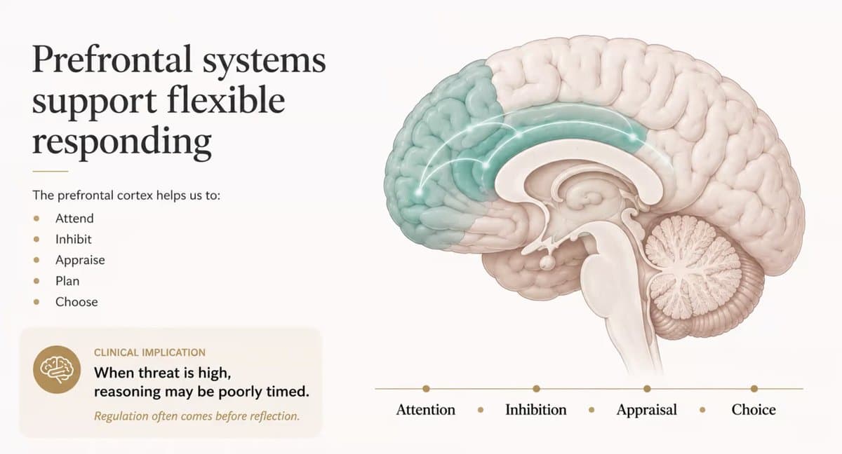The Neuroscience of Trauma - A Professional Workshop — preview 2