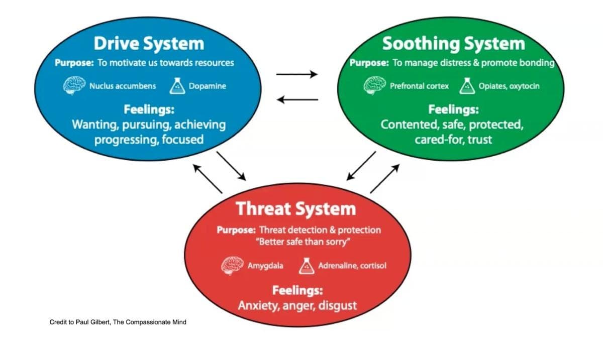 The Psychology of Trauma & Emotions — preview 2
