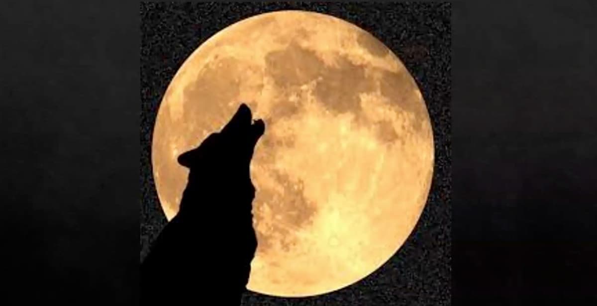 The History & Mythology of Werewolves — preview 2